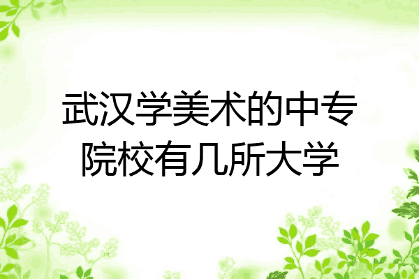 武汉学美术的中专院校有几所大学