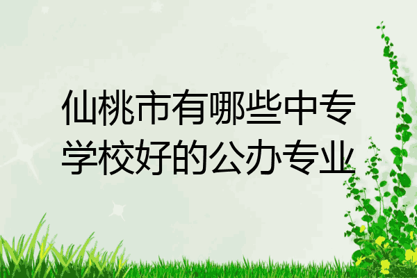 仙桃市有哪些中专学校好的公办专业