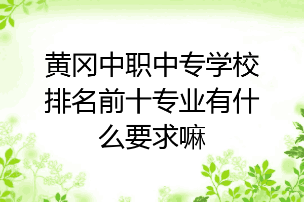 黄冈中职中专学校排名前十专业有什么要求嘛