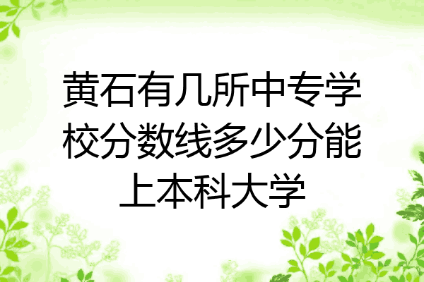 黄石有几所中专学校分数线多少分能上本科大学