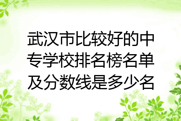 武汉市比较好的中专学校排名榜名单及分数线是多少名