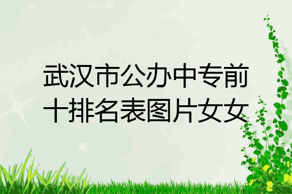 武汉市公办中专前十排名表图片女女