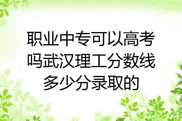 职业中专可以高考吗武汉理工分数线多少分录取的
