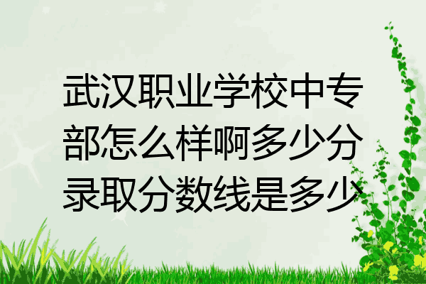武汉职业学校中专部怎么样啊多少分录取分数线是多少