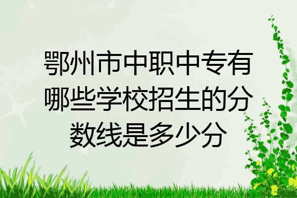 鄂州市中职中专有哪些学校招生的分数线是多少分