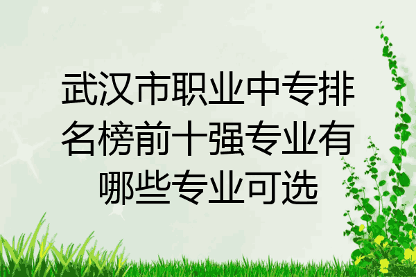 武汉市职业中专排名榜前十强专业有哪些专业可选