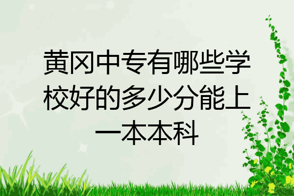 黄冈中专有哪些学校好的多少分能上一本本科