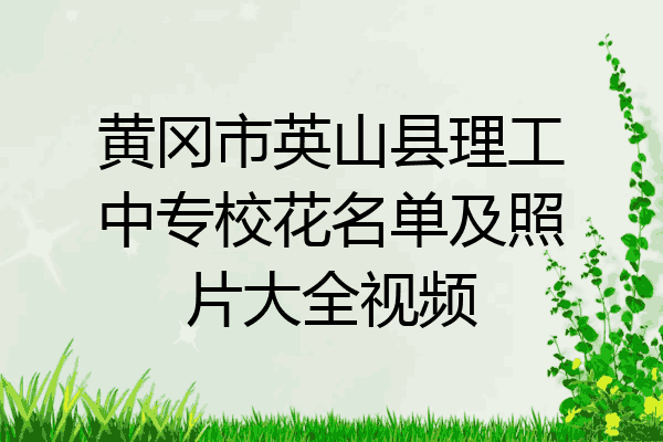 黄冈市英山县理工中专校花名单及照片大全视频