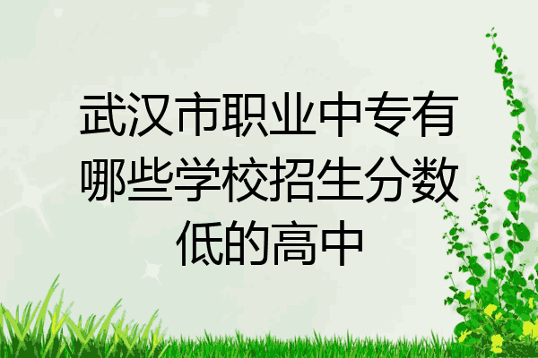 武汉市职业中专有哪些学校招生分数低的高中