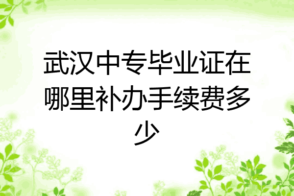 武汉中专毕业证在哪里补办手续费多少