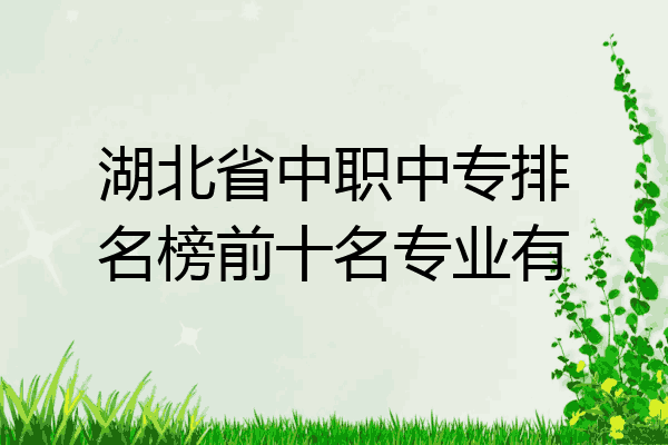 湖北省中职中专排名榜前十名专业有