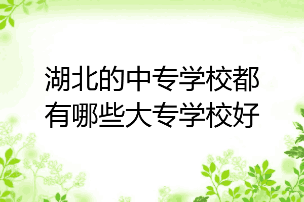 湖北的中专学校都有哪些大专学校好
