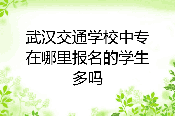 武汉交通学校中专在哪里报名的学生多吗