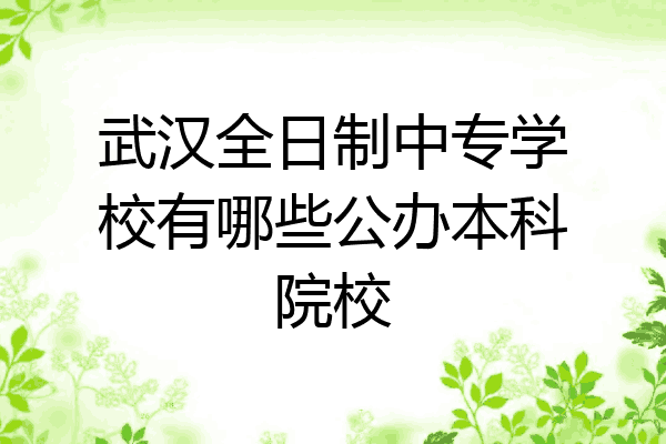 武汉全日制中专学校有哪些公办本科院校