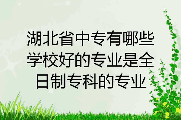 湖北省中专有哪些学校好的专业是全日制专科的专业