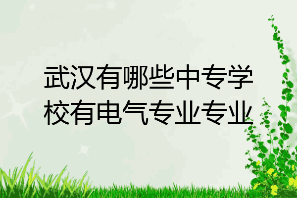 武汉有哪些中专学校有电气专业专业
