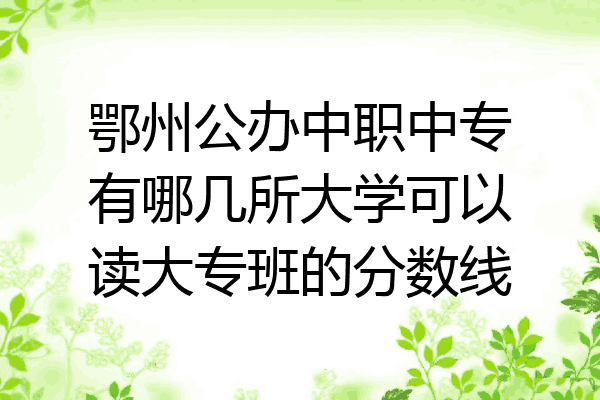 鄂州公办中职中专有哪几所大学可以读大专班的分数线