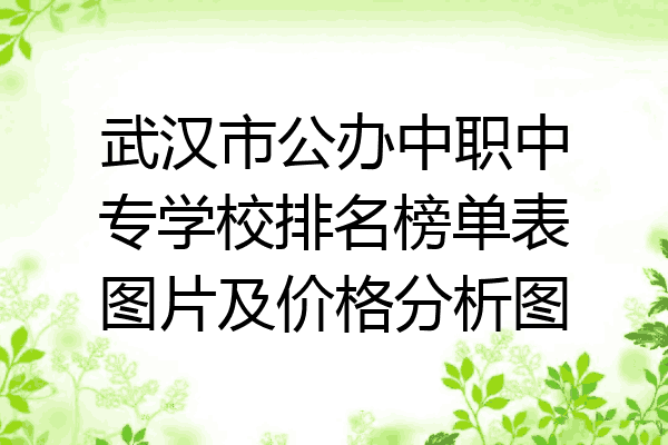 武汉市公办中职中专学校排名榜单表图片及价格分析图