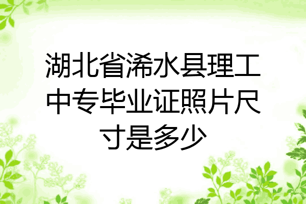 湖北省浠水县理工中专毕业证照片尺寸是多少