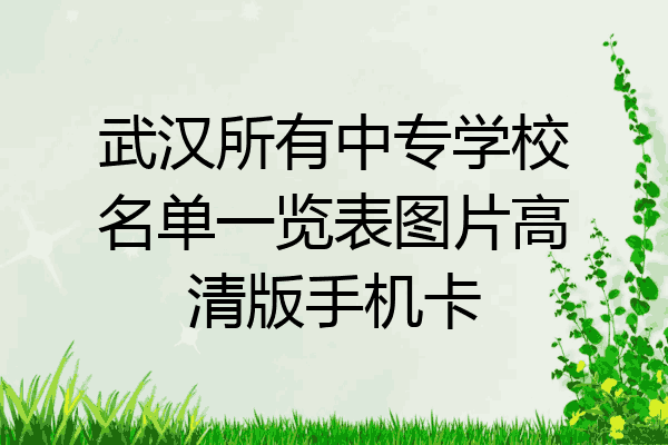 武汉所有中专学校名单一览表图片高清版手机卡