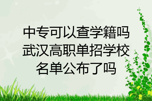 中专可以查学籍吗武汉高职单招学校名单公布了吗