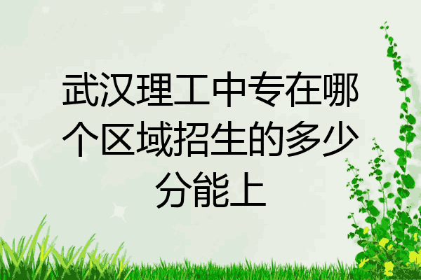 武汉理工中专在哪个区域招生的多少分能上