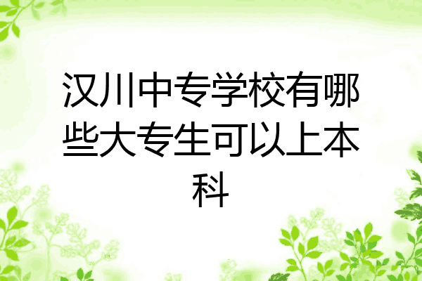 汉川中专学校有哪些大专生可以上本科