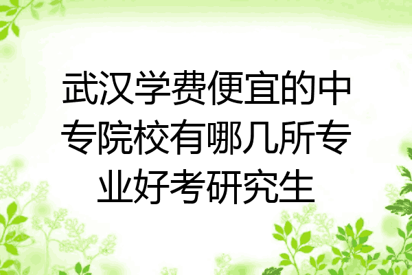 武汉学费便宜的中专院校有哪几所专业好考研究生