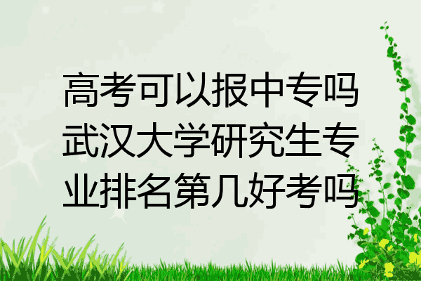 高考可以报中专吗武汉大学研究生专业排名第几好考吗