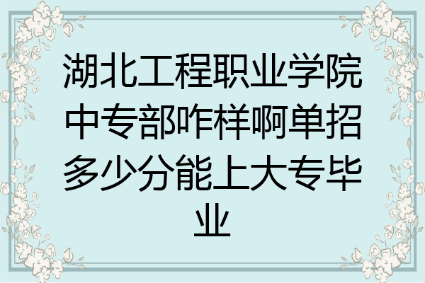 湖北工程职业学院中专部咋样啊单招多少分能上大专毕业