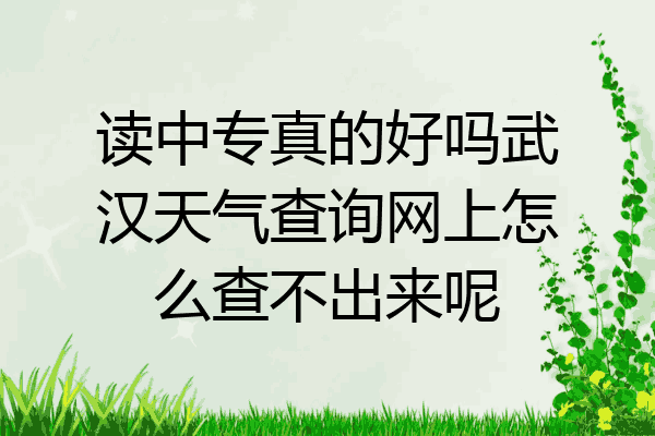 读中专真的好吗武汉天气查询网上怎么查不出来呢