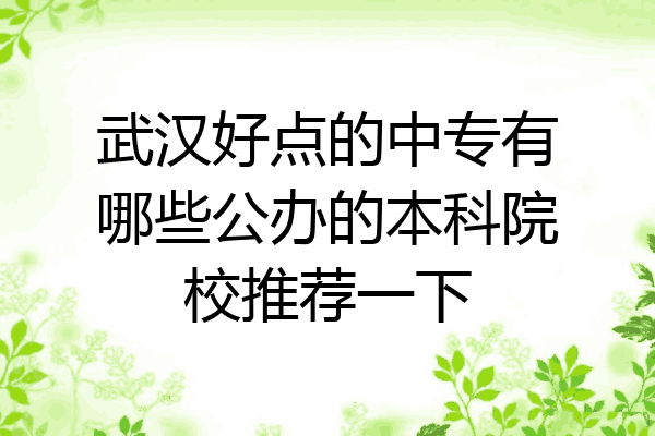武汉好点的中专有哪些公办的本科院校推荐一下