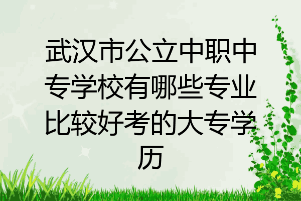 武汉市公立中职中专学校有哪些专业比较好考的大专学历