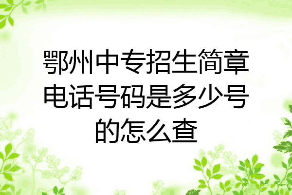 鄂州中专招生简章电话号码是多少号的怎么查