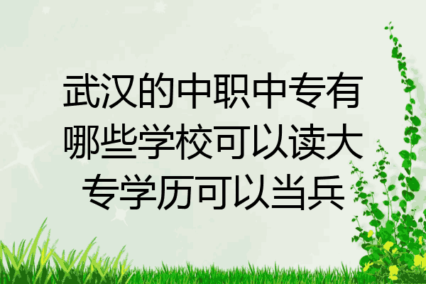 武汉的中职中专有哪些学校可以读大专学历可以当兵