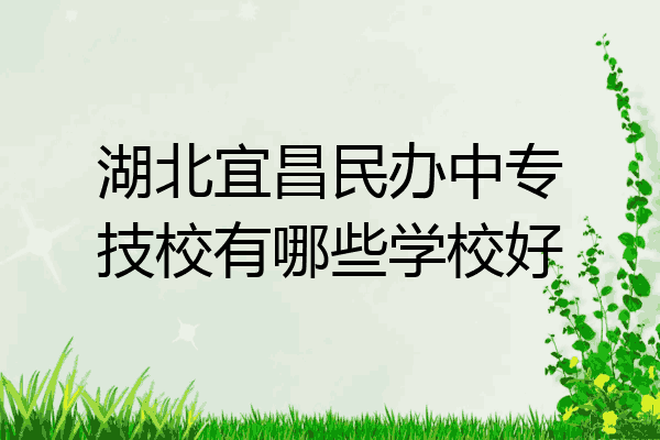 湖北宜昌民办中专技校有哪些学校好