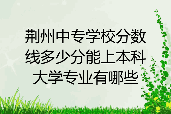 荆州中专学校分数线多少分能上本科大学专业有哪些