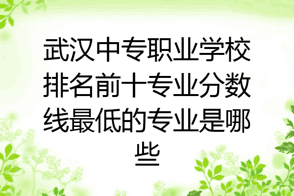 武汉中专职业学校排名前十专业分数线最低的专业是哪些