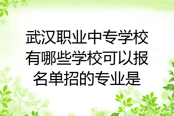 武汉职业中专学校有哪些学校可以报名单招的专业是