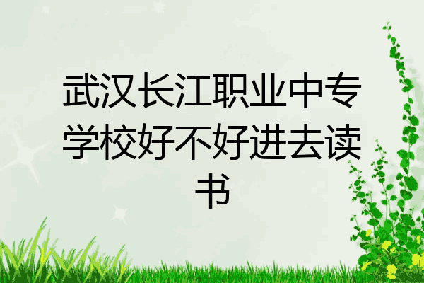 武汉长江职业中专学校好不好进去读书