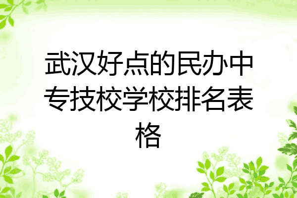 武汉好点的民办中专技校学校排名表格
