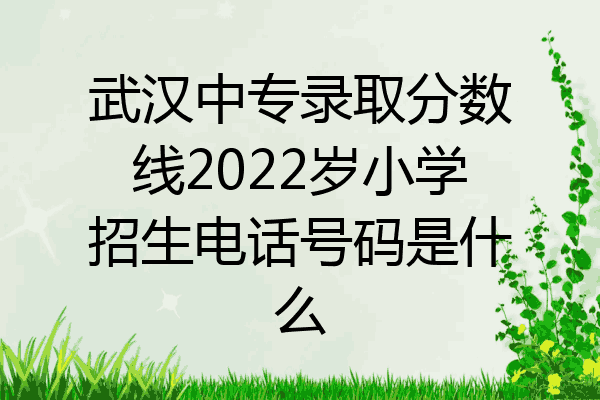 武汉中专录取分数线2022岁小学招生电话号码是什么