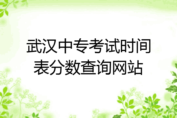 武汉中专考试时间表分数查询网站