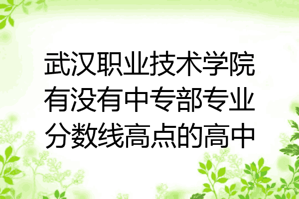 武汉职业技术学院有没有中专部专业分数线高点的高中