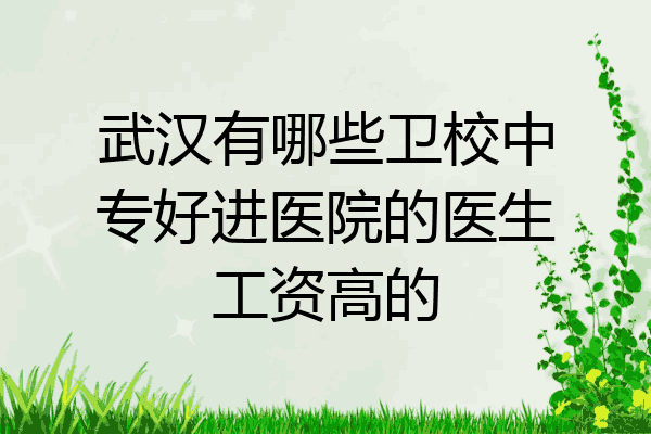 武汉有哪些卫校中专好进医院的医生工资高的