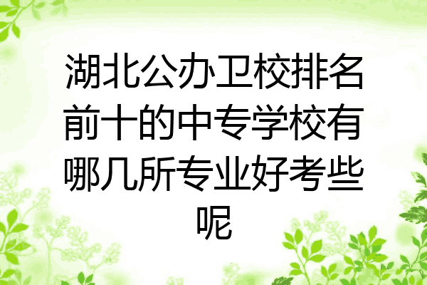 湖北公办卫校排名前十的中专学校有哪几所专业好考些呢