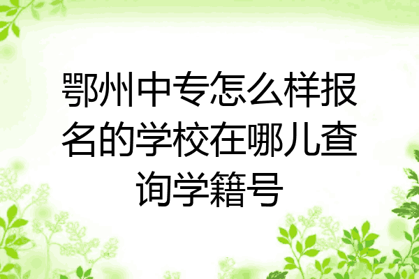 鄂州中专怎么样报名的学校在哪儿查询学籍号