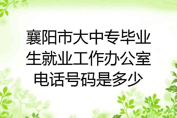 襄阳市大中专毕业生就业工作办公室电话号码是多少
