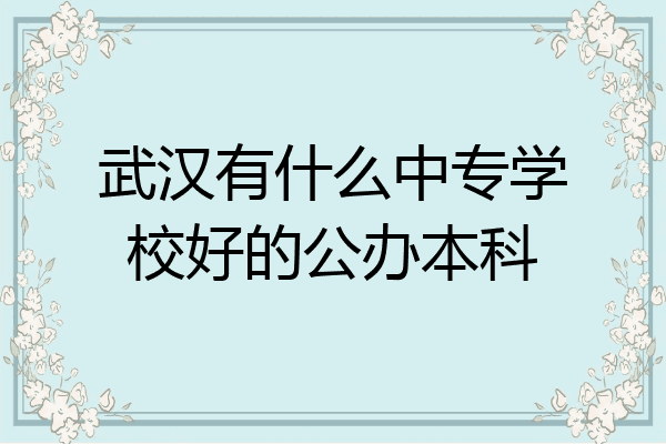 武汉有什么中专学校好的公办本科