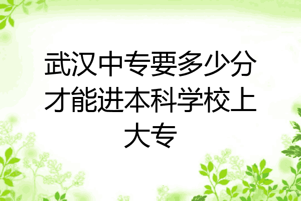 武汉中专要多少分才能进本科学校上大专
